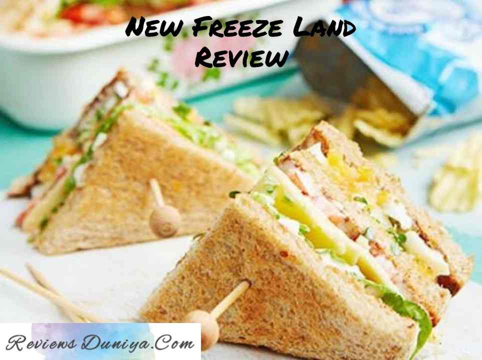 New Freeze Land Review: Tasty food with HIGH COST! New Freeze Land Ahmedabad